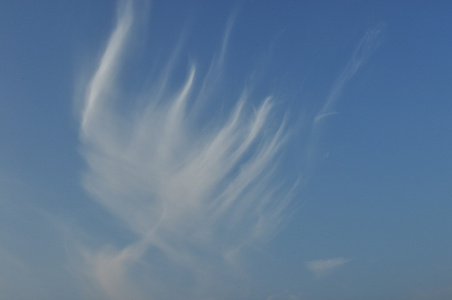 天空。黎明, 日出。草地上的云