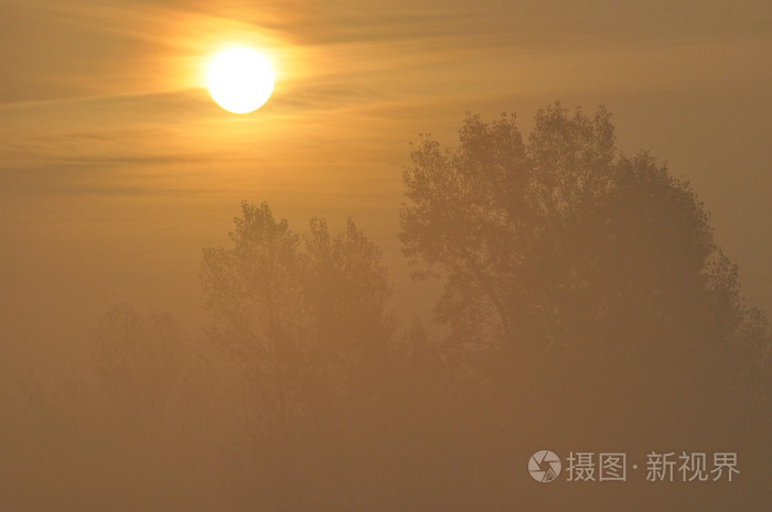 日出阳光明媚的早晨黎明时分的太阳的光芒植物温暖的灯光
