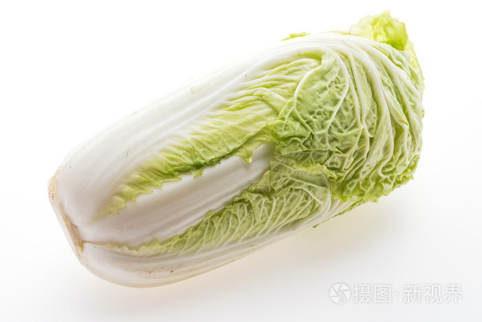 白色的生菜或白菜