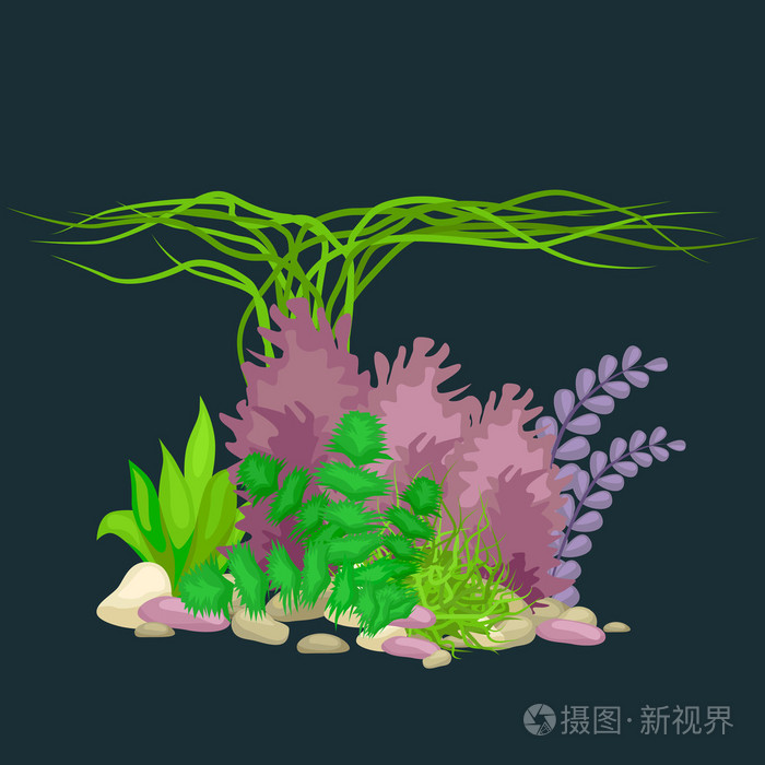设置隔离多彩的珊瑚和藻类 矢量水下植物区系 动物区系插画 正版商用图片1nvqlc 摄图新视界 设置隔离多彩的珊瑚和藻类 矢量水下植物区系 动物区系插画 正版商用图片1nvqlc 摄图新视界