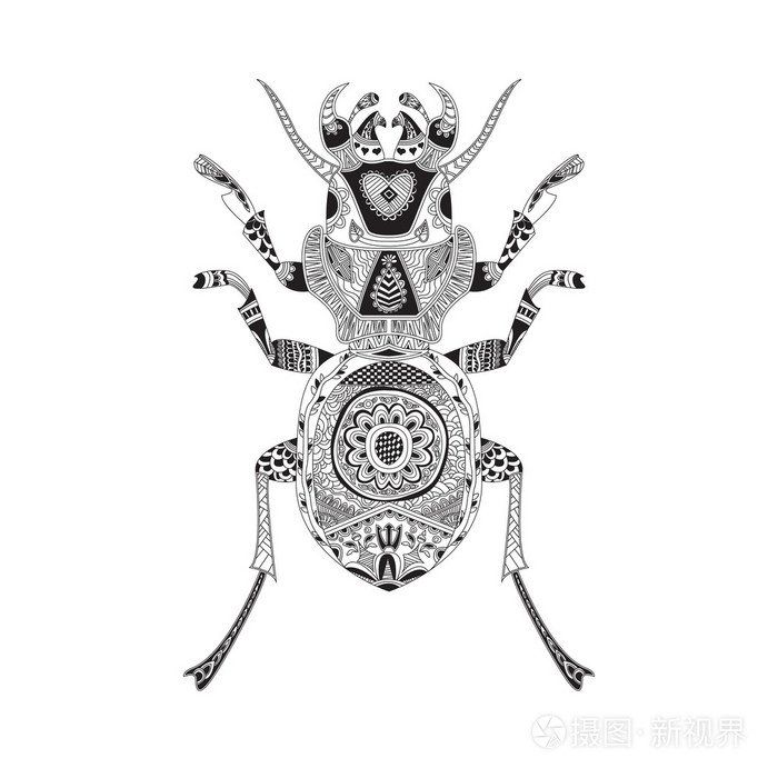 图案的甲虫着色和您的设计