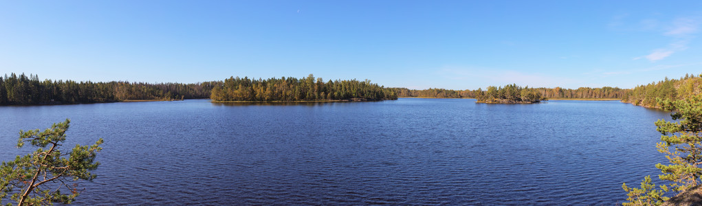 森林湖的全景