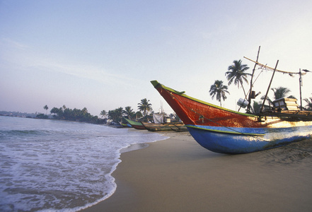 在 Nagombo 海岸 Dhoni Fishingboats