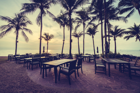 美丽的椰子棕榈树上的海滩和大海