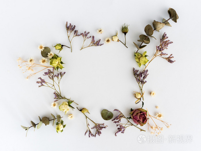 干燥花背景框架 平躺 顶视图照片 正版商用图片1nvz91 摄图新视界 干燥花背景框架 平躺 顶视图照片 正版商用图片1nvz91 摄图新视界