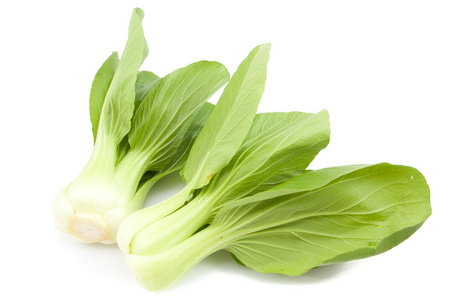 在白色宝贝北蔡青米梯田稻田在sapa或萨帕劳蔡省越南北部越南东南亚湄