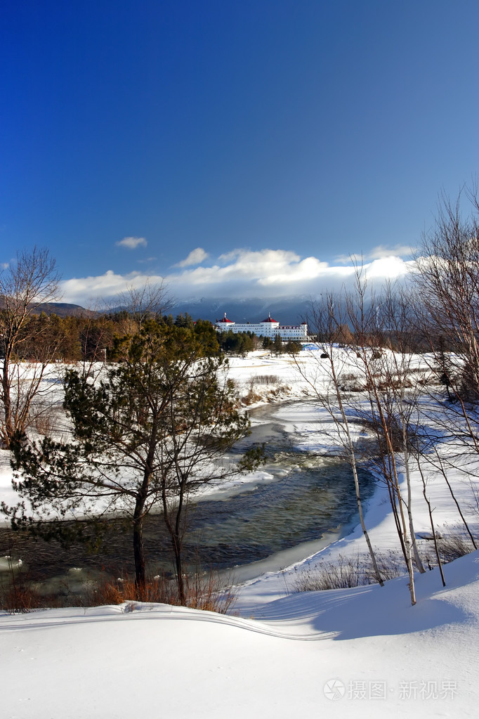 新罕布什尔州的布雷顿森林树林