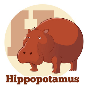 Abc 卡通 Hippopotamus2