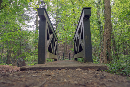 悬浮木桥在公园