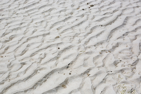 白砂形成