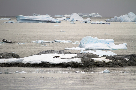 全球变暖南极洲冰形成的海岸线