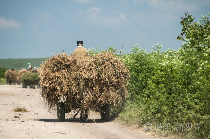 在土路上的干草车