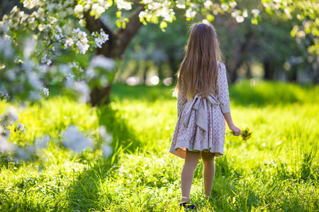可爱的小女孩，在盛开的春天苹果花园户外