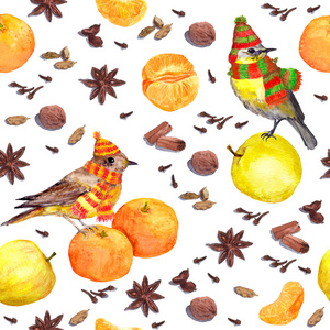 水彩冬天香料和水果   苹果 标准的国语，鸟