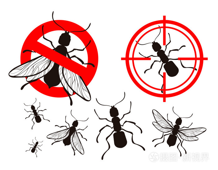 白蚁或蚂蚁。害虫控制图标设置。媒介昆虫。禁止标志和目标