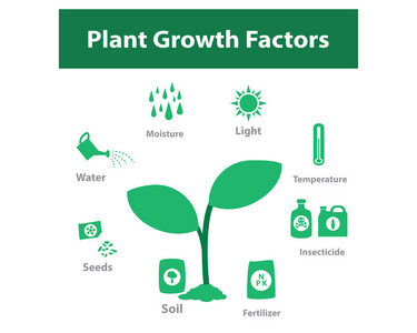 单色植物生长因子图图片