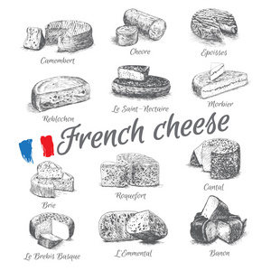 矢量插图的法国奶酪菜单设置 4。说明性各种各样的来自法国的奶酪