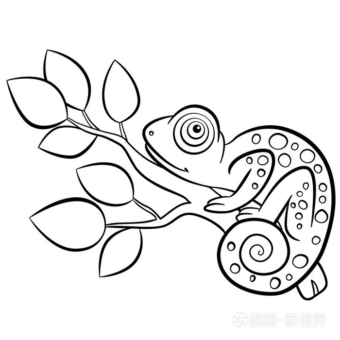 野生动物.小可爱变色龙坐插画-正版商用图片1nwoff-摄图新视界