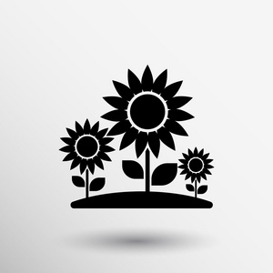 向日葵农场图片