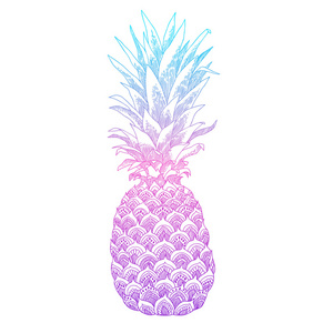 菠萝水果手绘插图