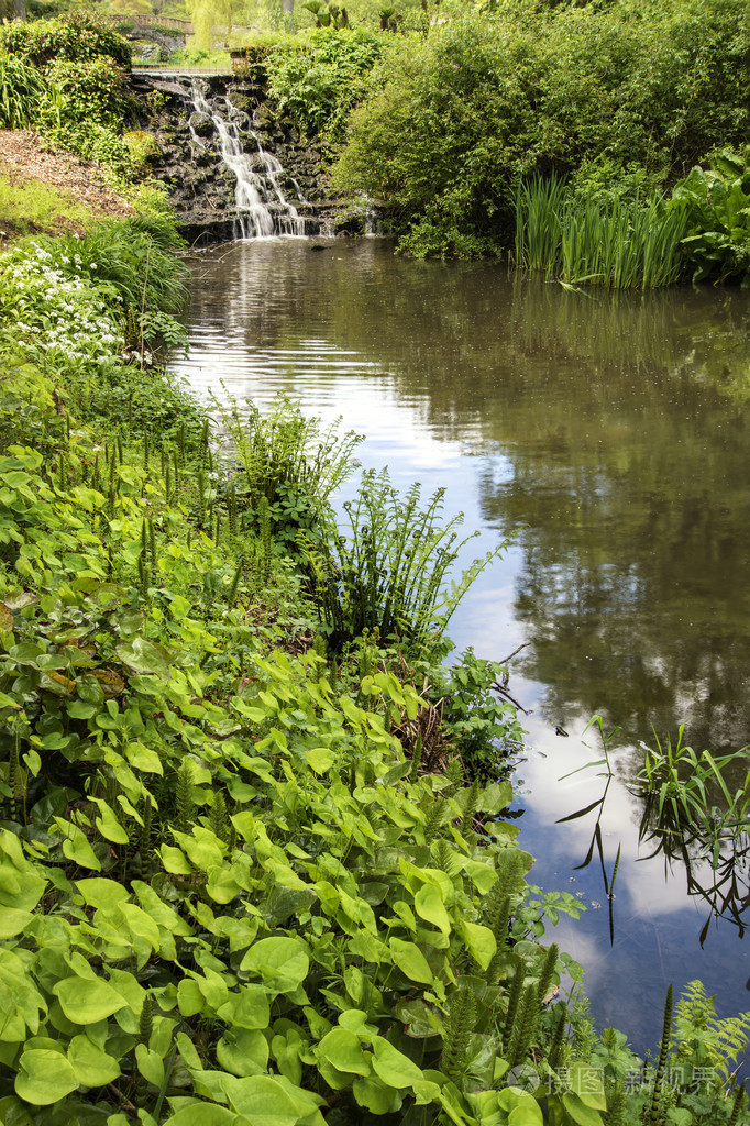 美丽的夏天景观形象的小溪流过岩石在