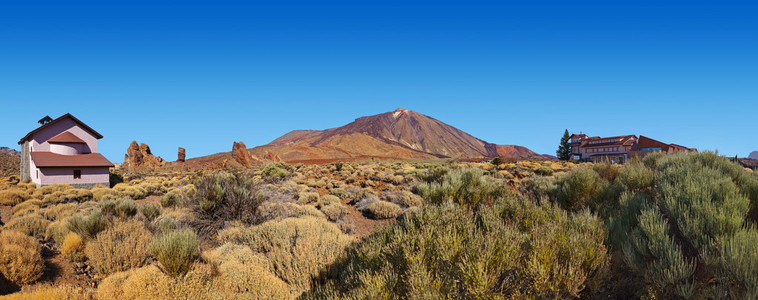 火山泰德国在特内里费岛金丝雀