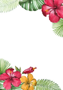 水彩的热带花卉卡