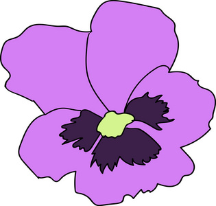 孤立在白色背景上的三色紫罗兰花