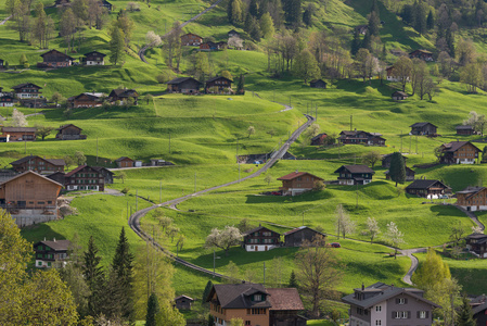 在格林德沃，瑞士的谷村