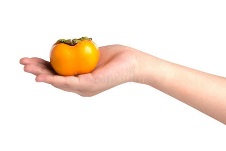 手拿成熟的柿子，在白色的背景上分离