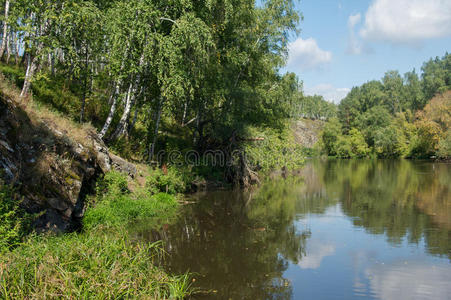 自然 俄罗斯 欧洲 风景 生活 公园 环境 落下 颜色 保护