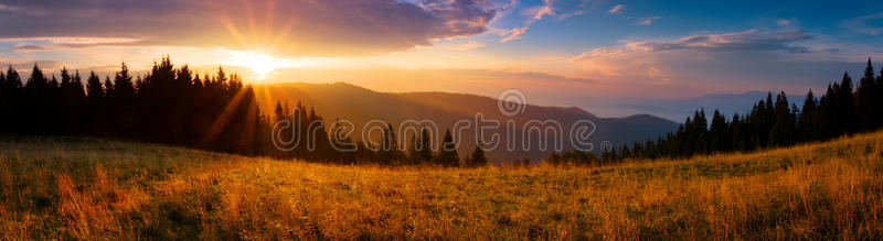 秋天 夏天 草地 波兰 天空 阳光 日落 全景 颜色 太阳