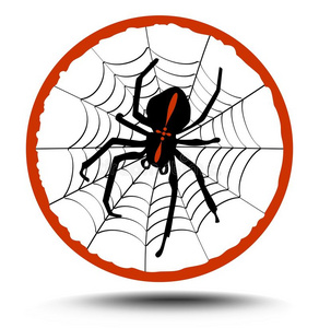十字军蜘蛛在他的网络上的红色圆圈组成