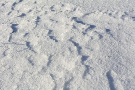 自然雪背景