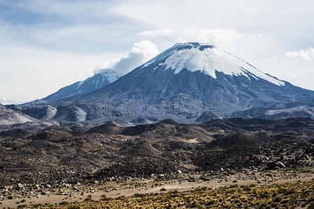 火烈鸟 小山 风景 封顶 拉丁语 反射率 地标 美国 智利