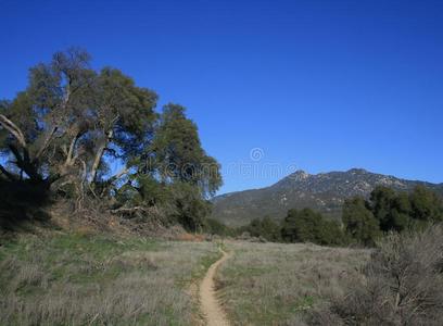 牧场 污垢 植物学 天空 领域 全景图 加利福尼亚 自然