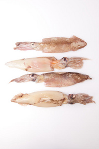 海的 无脊椎动物 海鲜 烹调 触须 动物群 鱿鱼 美食家