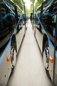 窗口 公共汽车 穿梭机 教练 玻璃 旅游业 运输 旅行 公路