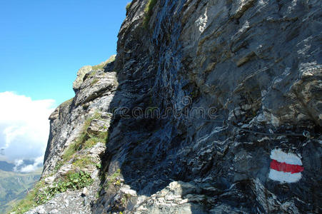 瑞士 风景 雀巢 保护 欧洲 危险的 山坡 岩石 徒步旅行