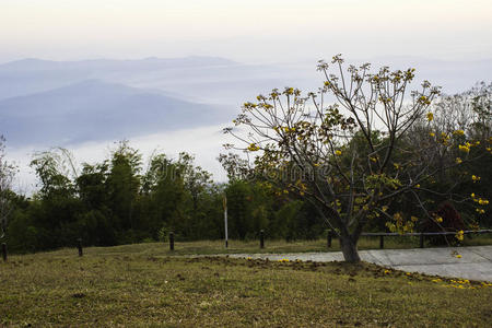 斜坡 太阳 泰国 建筑 木材 深渊 早晨 自然 天空