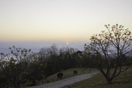 斜坡 自然 泰国 早晨 建筑 深渊 木材 天空 太阳