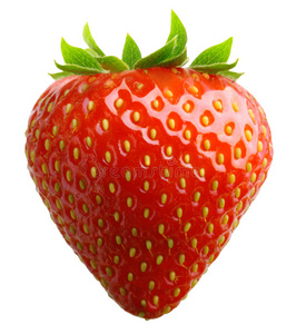 充满活力的草莓图片-充满活力的草莓素材-充满活力的草莓插画-摄图新