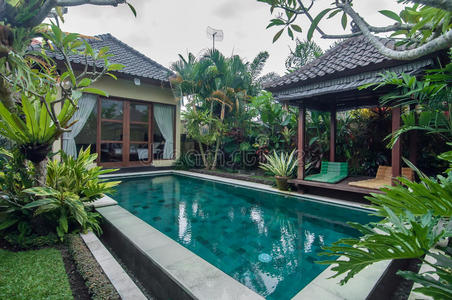 植物 生活 巴厘岛 水塘 花园 建筑学 露台 梦想 总经理