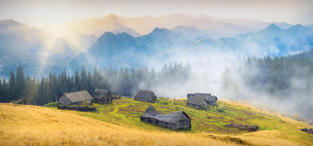 植物区系 草地 黄昏 场景 公园 房子 阿尔卑斯山 傍晚