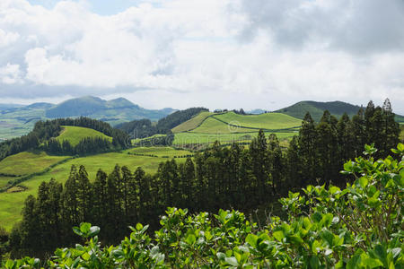 路线 小山 春天 范围 葡萄牙 村庄 欧洲 房子 风景 森林