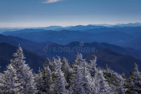 风景 露营 寒冷的 自然 环境 背包旅行 草地 森林 高地