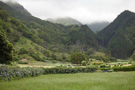 美丽的过度生长的古老火山山脉在索米歇尔，亚速尔群岛