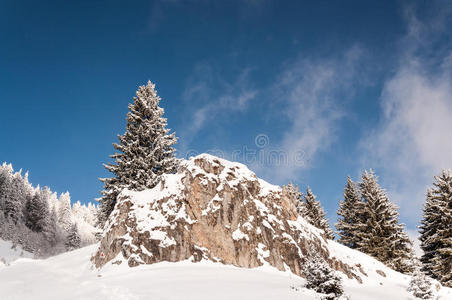 孤独的 圣诞节 寒冷的 美女 自然 特雷 天空 喀尔巴阡山
