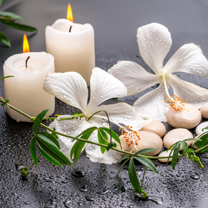 精致的白色芙蓉西番莲嫩枝带水滴的石头黑色背景上的蜡烛特写镜头的美丽spa静物