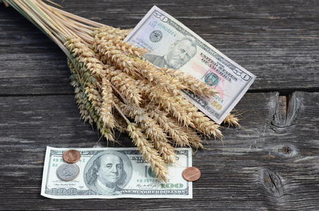 美元小麦穗农业收获观